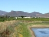 IMG_1233 adjusted.jpg